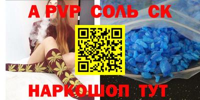 спайс Кингисепп