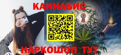 спайс Кингисепп
