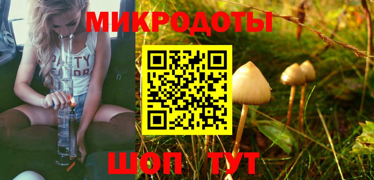 Псилоцибиновые грибы Magic Shrooms Кудымкар